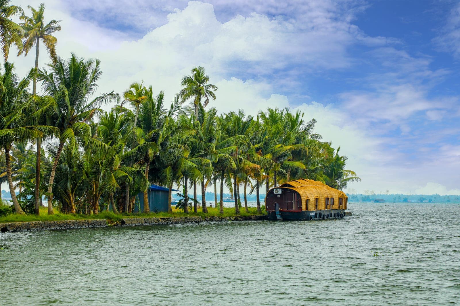 Kerala backwaters